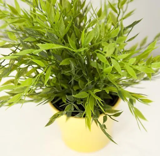 Bed & Breakfast Smart Holidays Roma